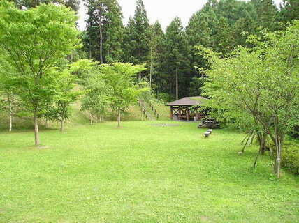 キャンプサイト