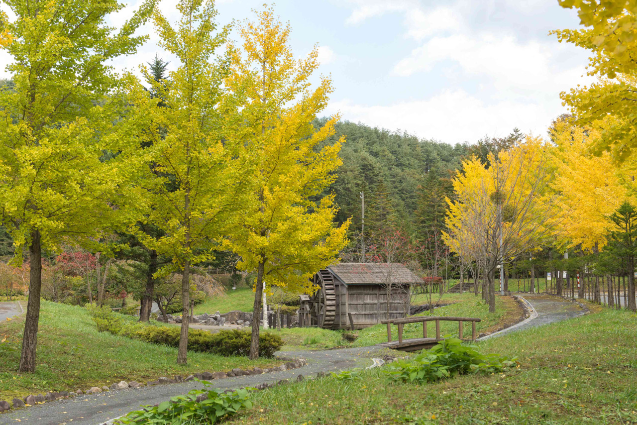 ふる里河川公園