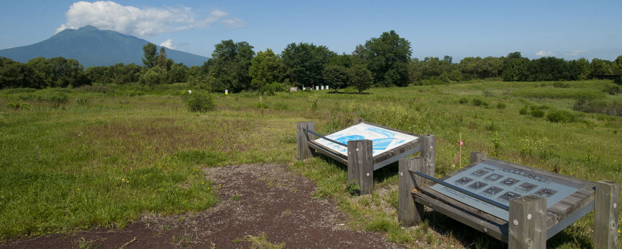 みずべの学習広場