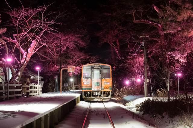 雪さくらのレールトンネルin芦野公園