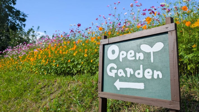 Garden大きなくりの木の下で
