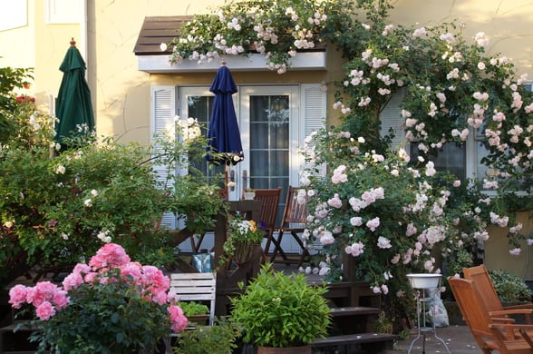 ガーデンカフェ