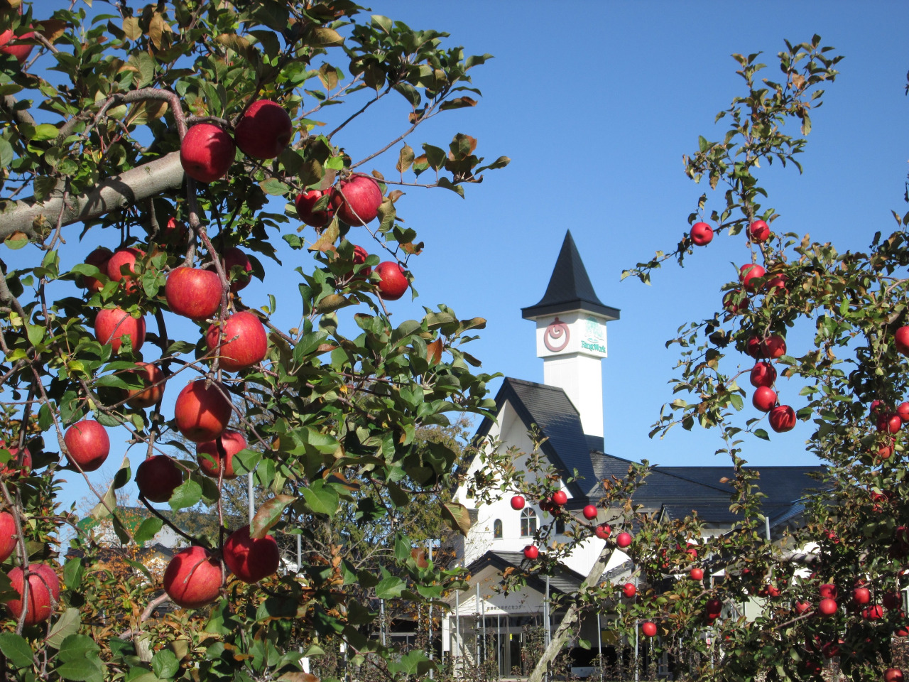 板柳町故鄉中心