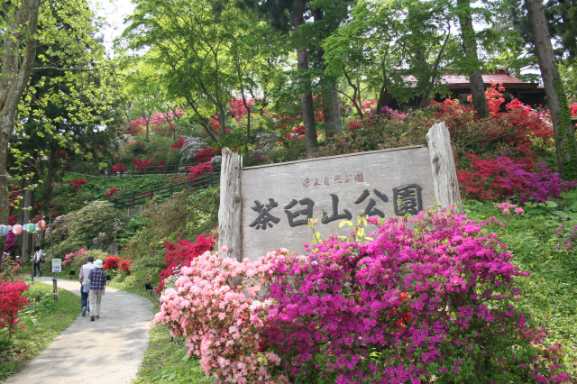 大鰐温泉つつじまつり