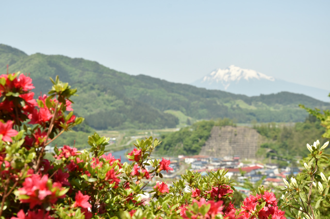 茶臼山公園のつつじと街並み