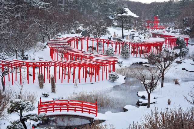 冬・春こそ行きたい！高山稲荷神社を歩く