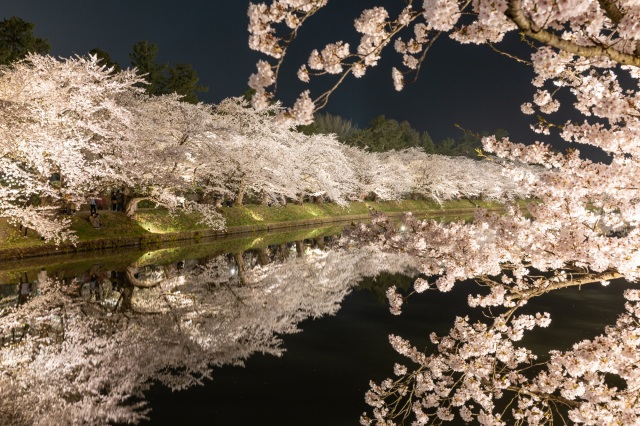麗しの桜景色とアート。古き良き弘前で堪能しよう。