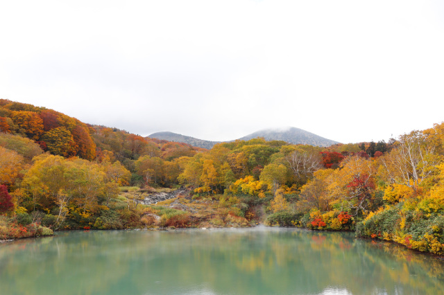 紅葉ドライブでめぐる、八甲田温泉郷一日旅