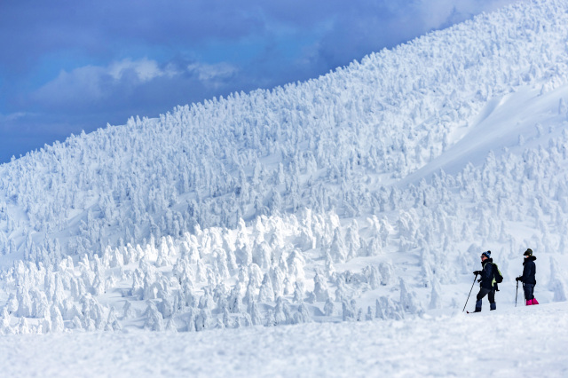 美冬青森：難以忘懷的旅行體驗