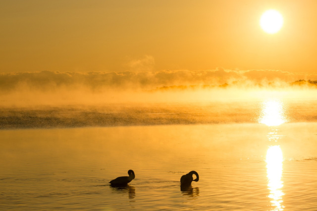 冬だけの感動を体験！青森のおすすめスポット５選