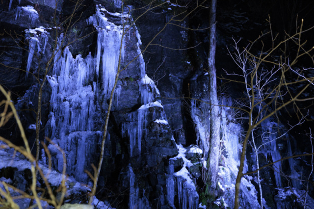 〈特集記事〉夜を照らす氷の芸術!冬の奥入瀬渓流氷瀑ツアー