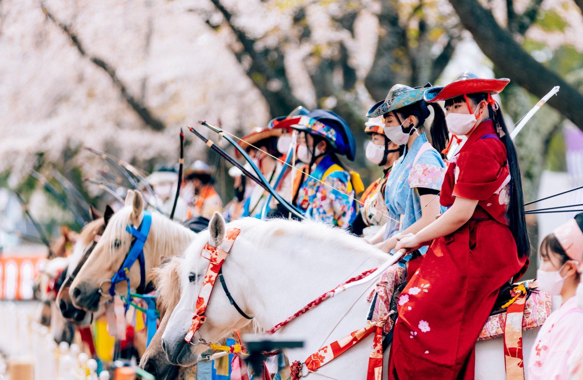 桜並木と日本の伝統馬術武芸「流鏑馬」の癒合。勇壮華麗な絶景がここに。