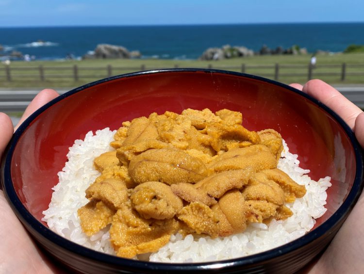 生ウニ丼