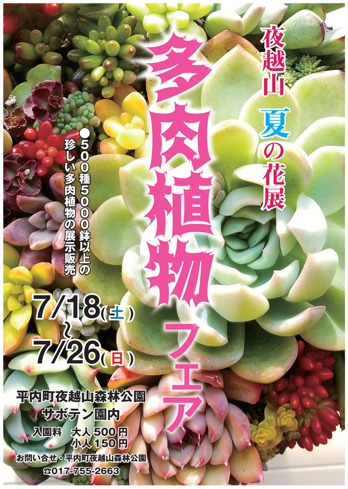 多肉植物フェア