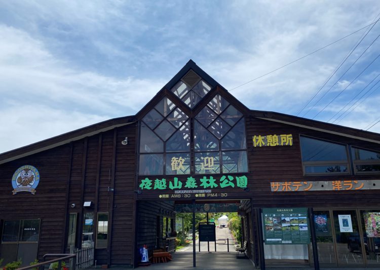 夜越山森林公園