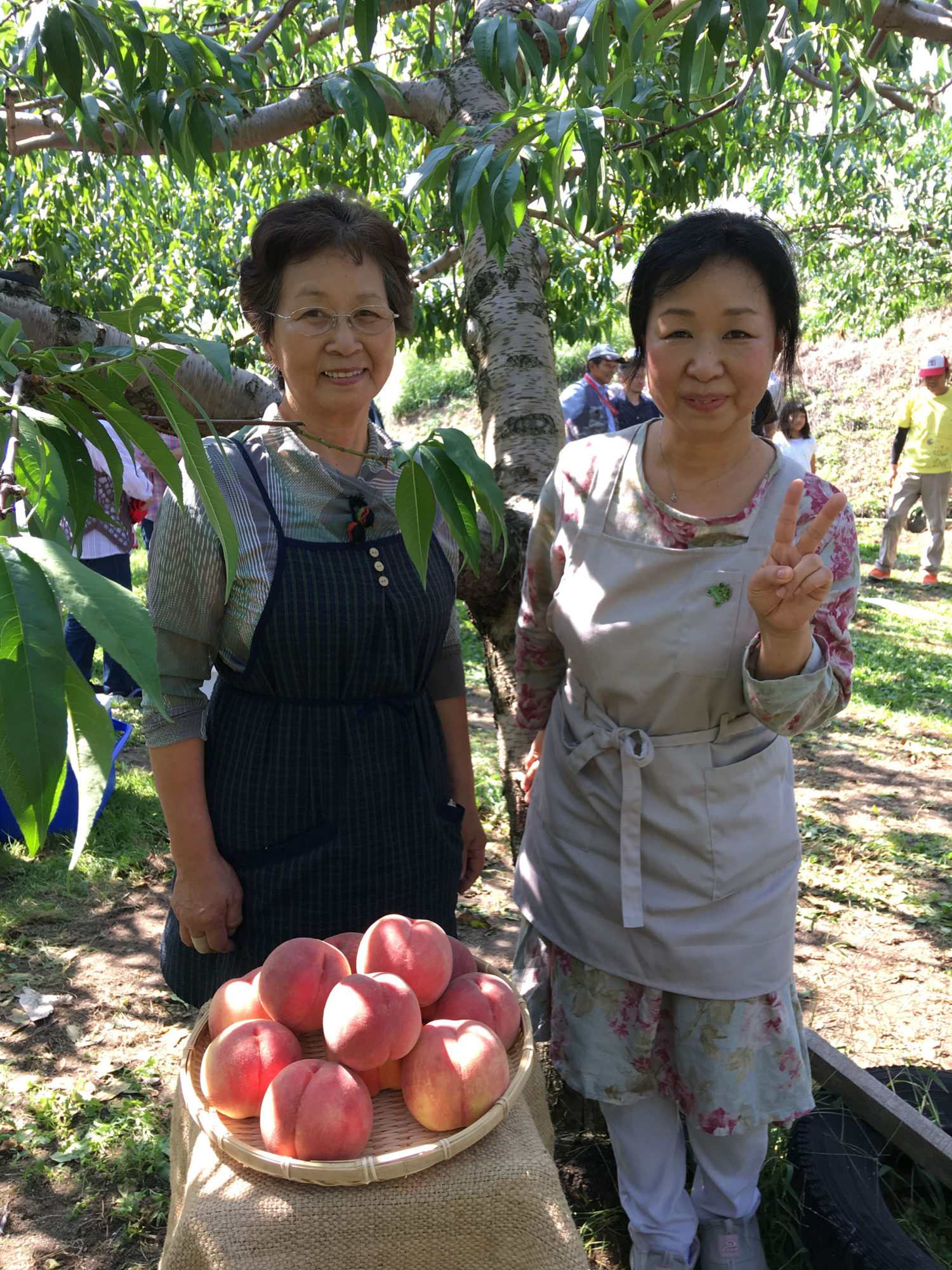 藤田さんとお母様