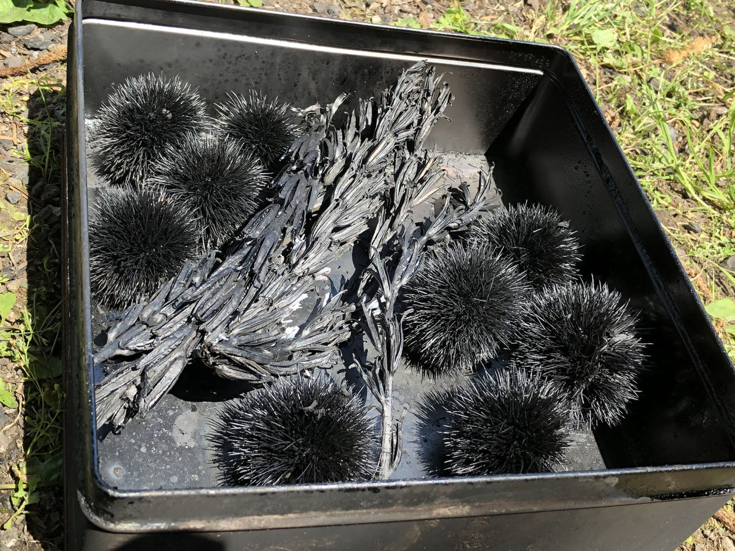 キレイに炭になりました！