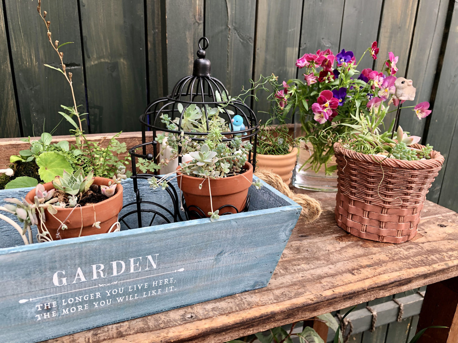 Green Note店内入り口２