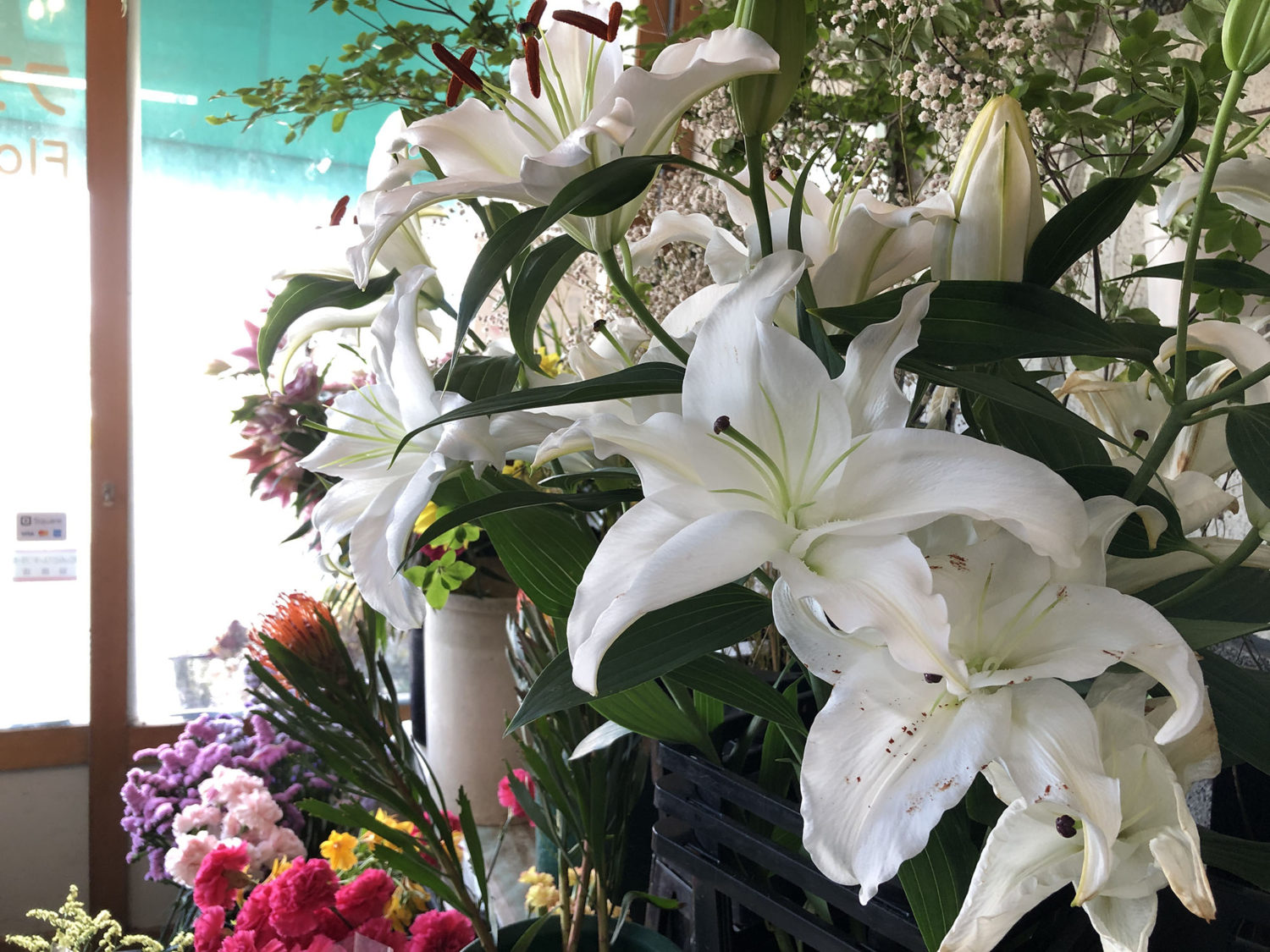 立派ですね〜。