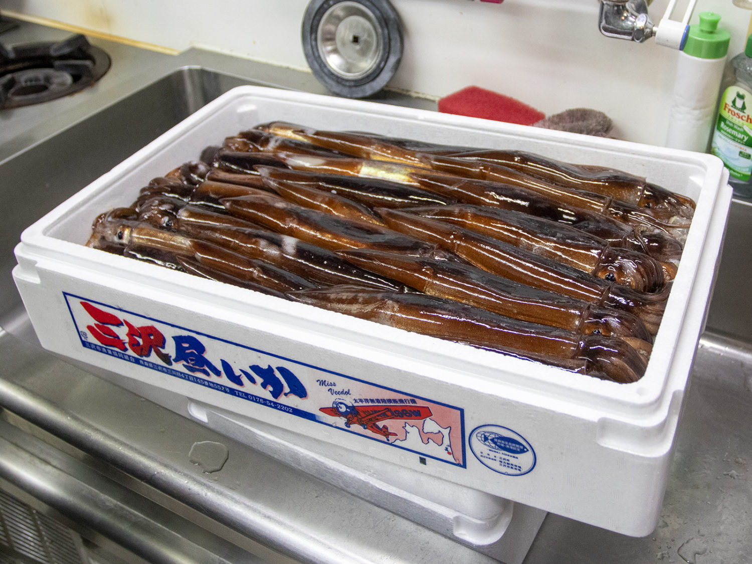 三沢昼いか_ケース