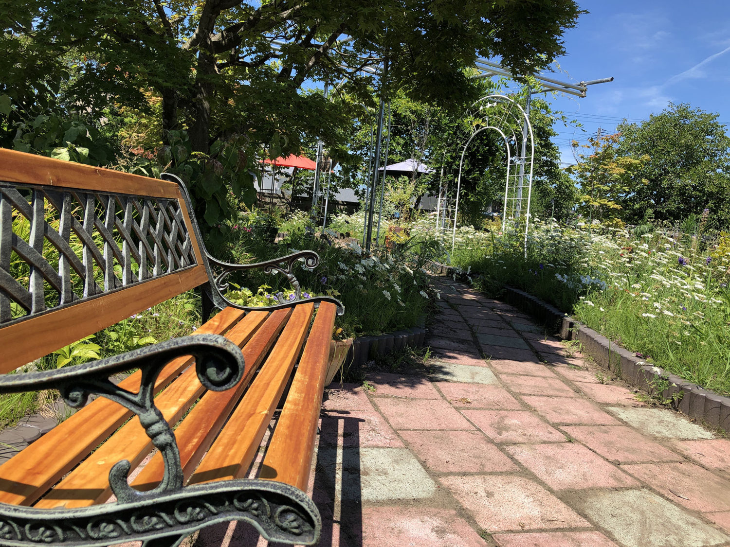 ベンチがおしゃれです。