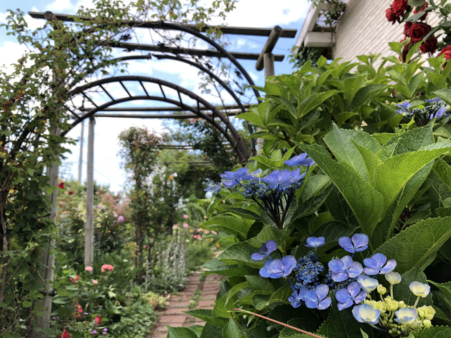 ガーデン散策もできます