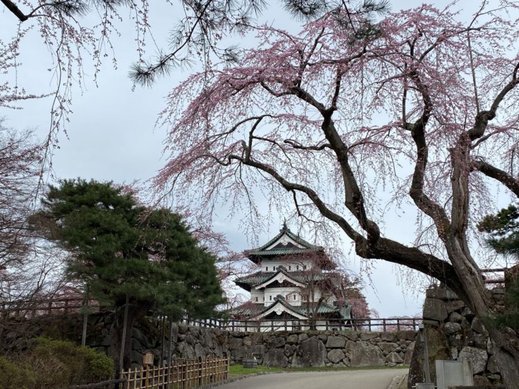 向かい合う鶴の松と亀石