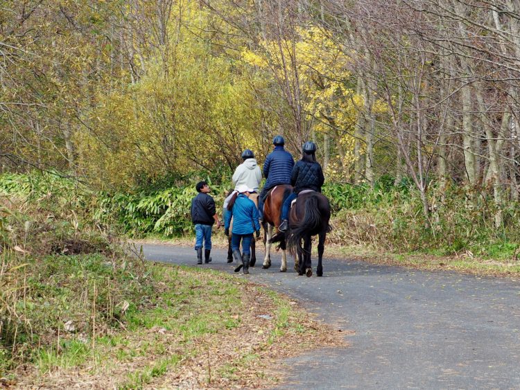 いよいよ、森の中へ。アスファルトの林道を歩くことすら初体験。「地面の草に興味を持ってしまうので、前を向くよう馬たちとコミュニーションを取ってくださいね」と教わり、手綱を握る手に力が入ったそう。