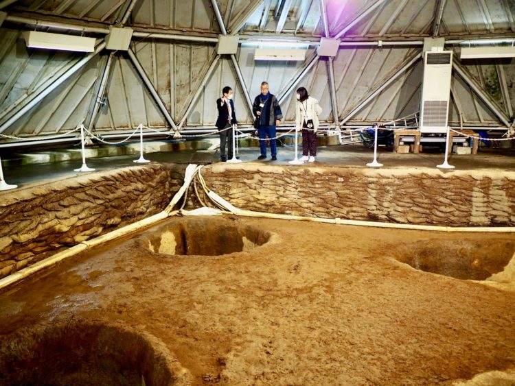 こちらが発掘された「大型掘立柱建物跡」。