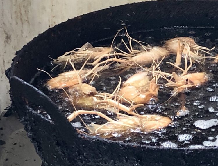 ちょっと可哀想だけど