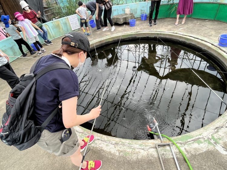 エビ釣り開始！