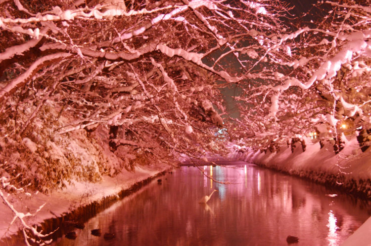 市民会館口から