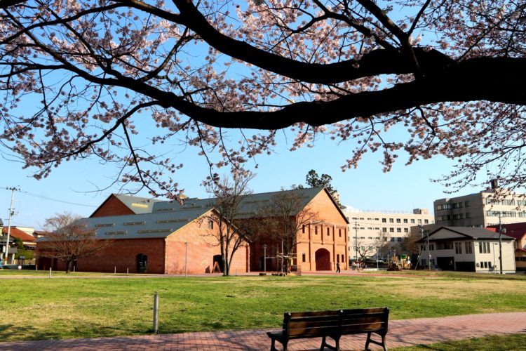 弘前れんが倉庫美術館と桜