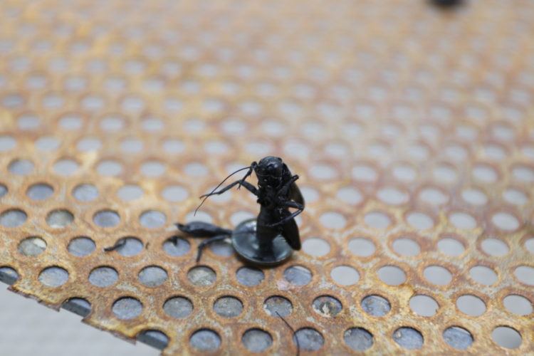 丹波海子（メトロポリス・シリーズ：太陽光処理施設）