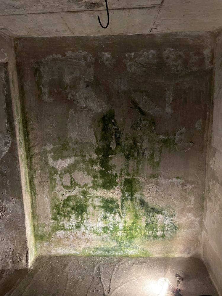 栗林隆（InselnChaho）