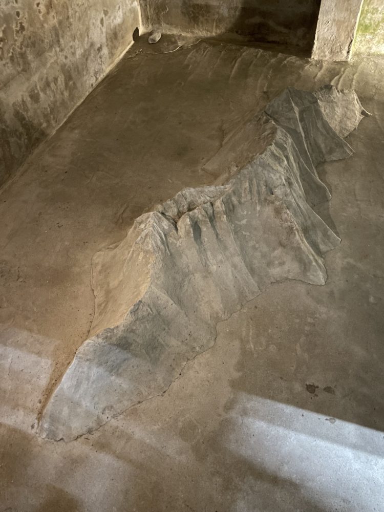 栗林隆（InselnChaho）