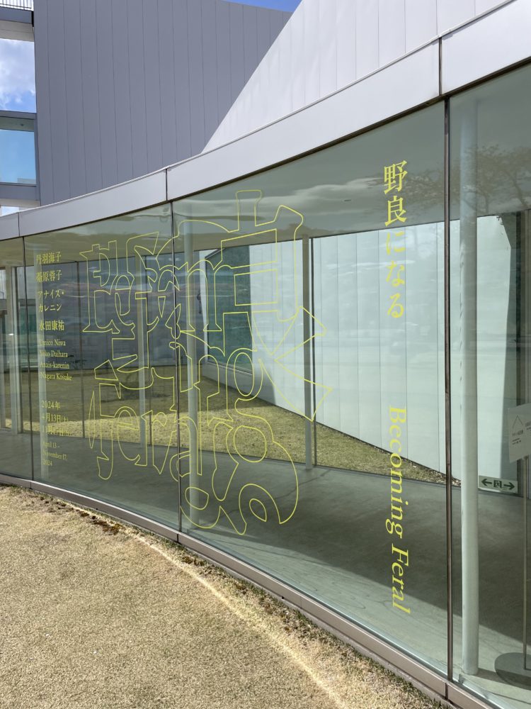 企画展「野良になる」