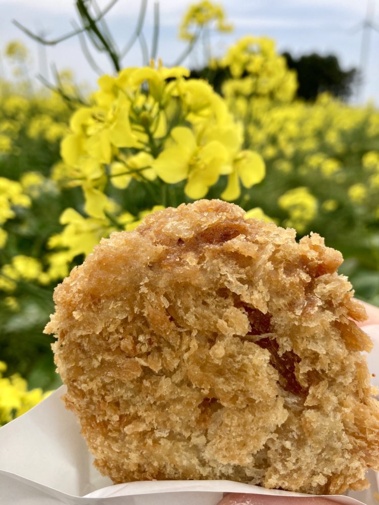 菜の花フェスティバル