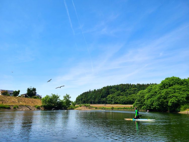 鳥と一緒に水辺の散歩