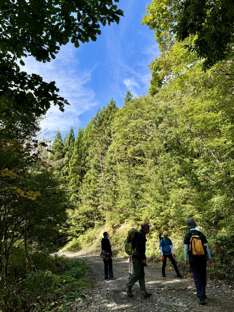 トレッキングの様子