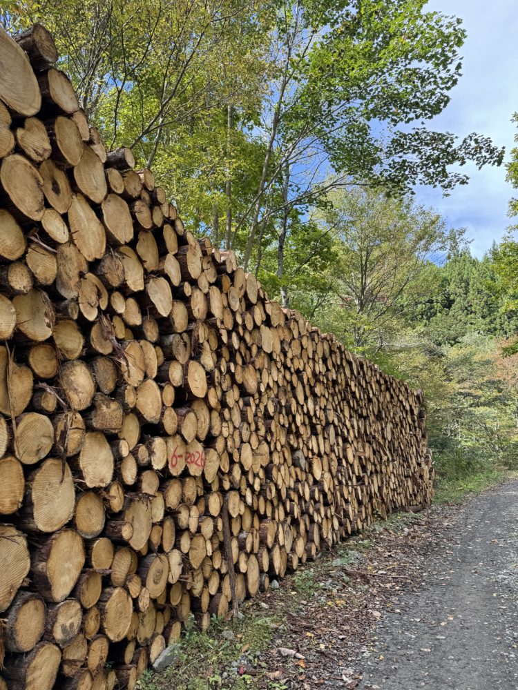 積み上がる丸太