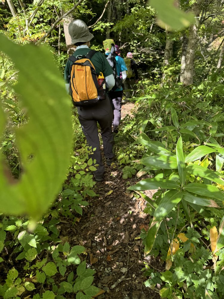 脇道に入っていくところ