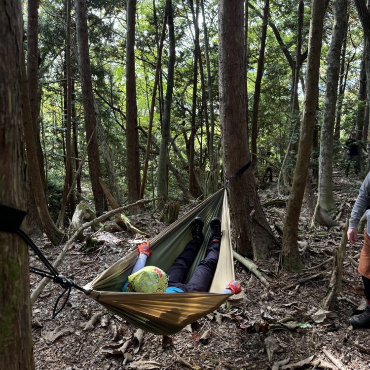 ヒバ林でハンモック