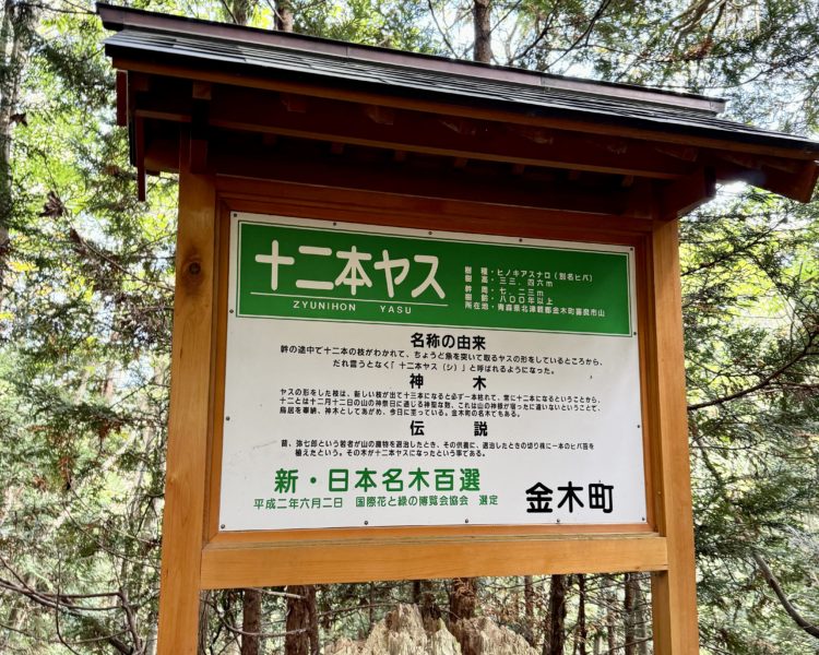 十二本ヤスの説明看板