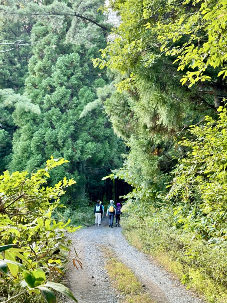 トレッキングの様子