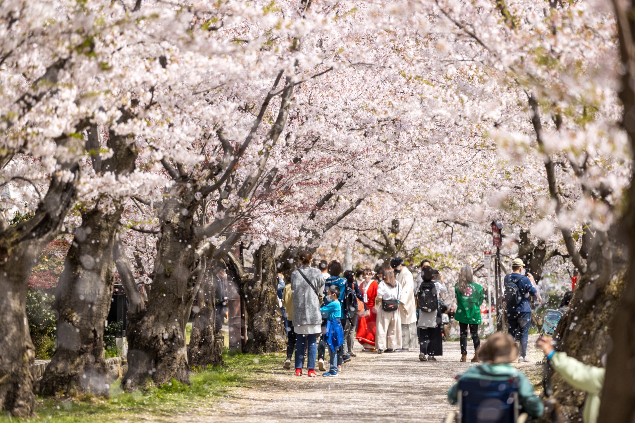 弘前公園/弘前城